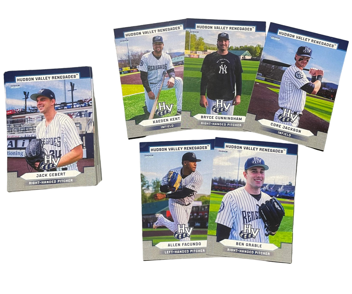 NEW* 2026 HVR Pro Choice Official Team Card Set – Minor League