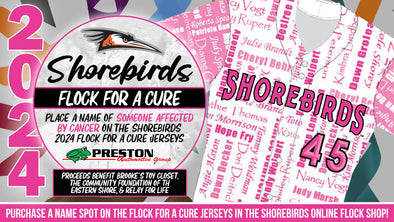 2024 Delmarva Shorebirds Flock For a Cure Cancer Awareness Jersey Name Sponsor