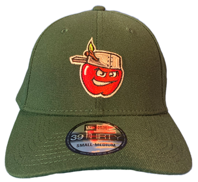 Fort Wayne TinCaps Home 39THIRTY Stretch Fit Dark Green Cap