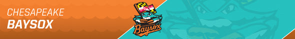 Chesapeake Baysox