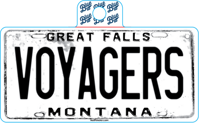 License Plate Sticker
