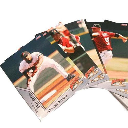 Buffalo Bisons 2008 Team Card Set