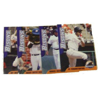 Buffalo Bisons 2009 Team Card Set