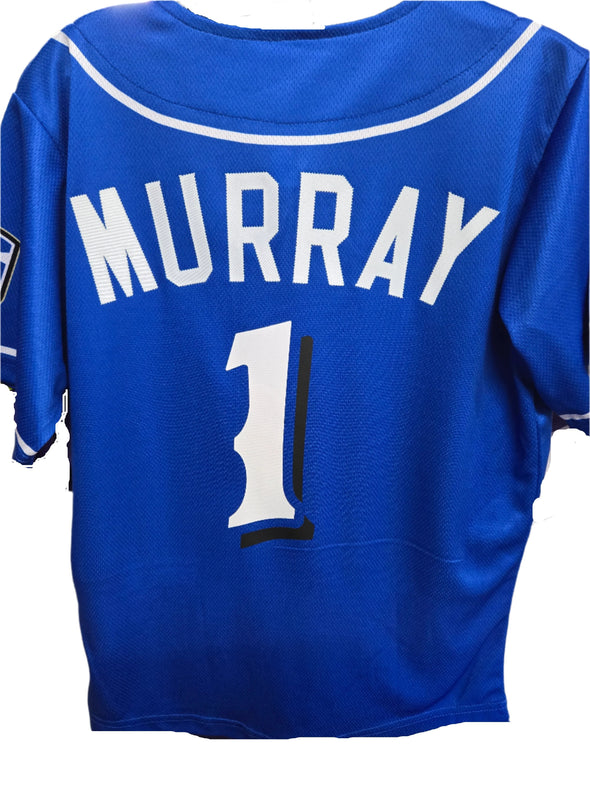 Alternate Royal Blue Adult Jersey