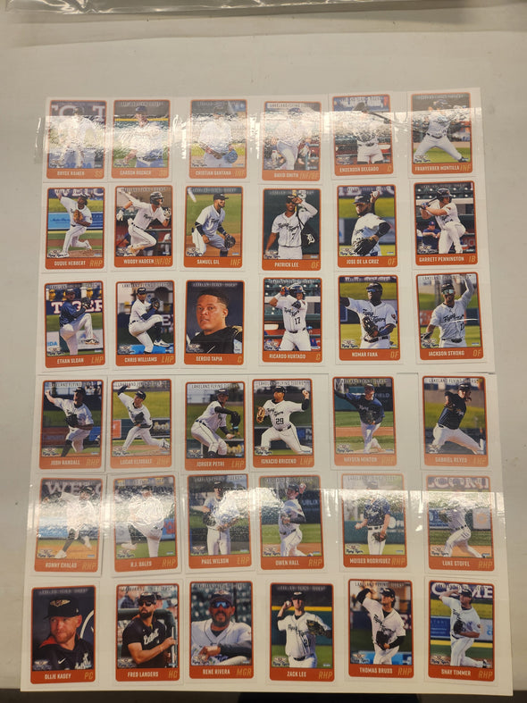 2025 Flying Tigers Team Set
