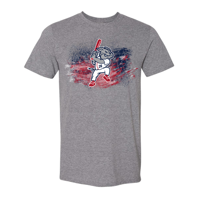 Lehigh Valley IronPigs Mens Splatter Tee