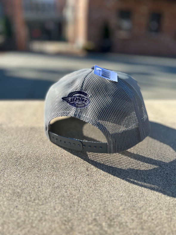 Greenville Drive OC Sport Navy/Gray Palmetto Badge Patch Hat