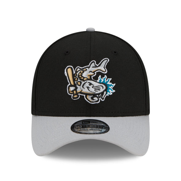 Grand Rapids Dam Breakers New Era Stretch-Fit 39THIRTY Cap