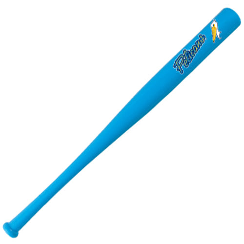 Myrtle Beach Pelicans Coopersburg Sports 18 inch Light Blue Mini Bat