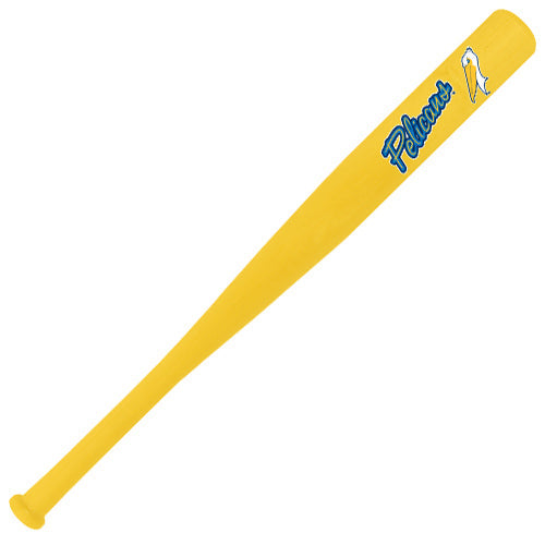 Myrtle Beach Pelicans Coopersburg Sports Yellow 18" Mini Bat