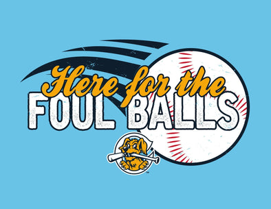 Charleston RiverDogs Youth Here for the Foul Balls Tee