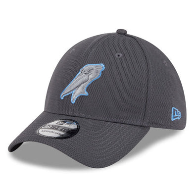 Myrtle Beach Pelicans New Era Graphite Alternate Logo 39Thirty Stretch Fit Cap