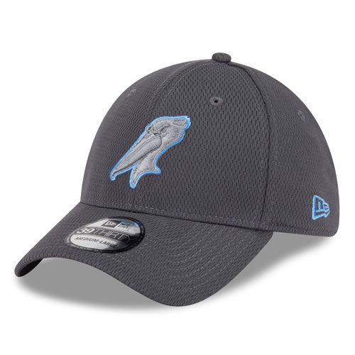 Myrtle Beach Pelicans New Era Graphite Alternate Logo 39Thirty Stretch Fit Cap