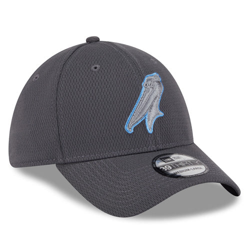 Myrtle Beach Pelicans New Era Graphite Alternate Logo 39Thirty Stretch Fit Cap