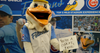 PERSONAL MESSAGE FROM THE MYRTLE BEACH PELICANS' MASCOT SPLASH