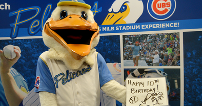 Personal Message from the Myrtle Beach Pelicans' Mascot Splash