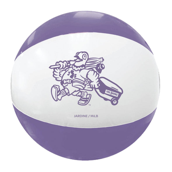 Jersey Shore BlueClaws TNC The Bennys Beach Ball