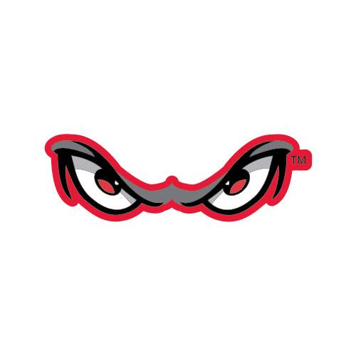 Lake Elsinore Storm Eye Logo PVC Magnet