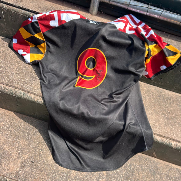 Delmarva Shorebirds EVOSHIELD Maryland Pride Game Worn Signed Jersey