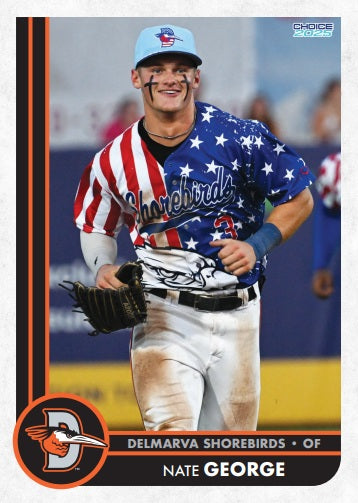Delmarva Shorebirds 2025 Team Set