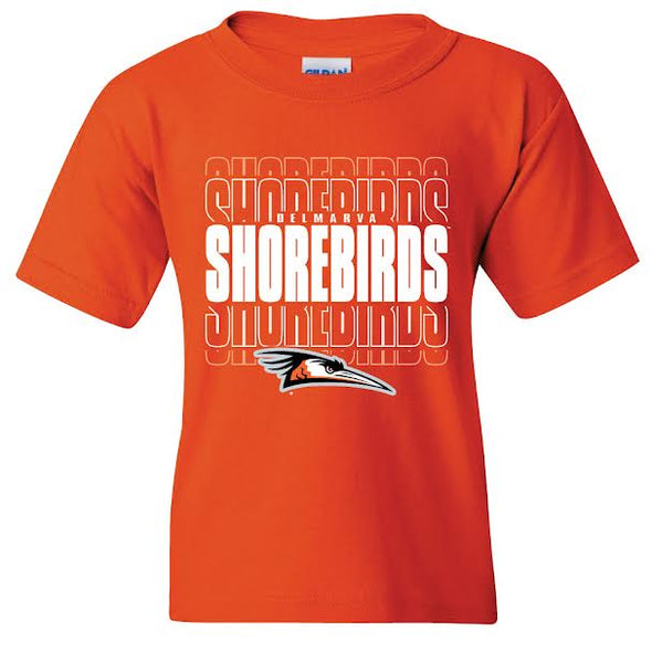 Delmarva Shorebirds Copied Youth Tee