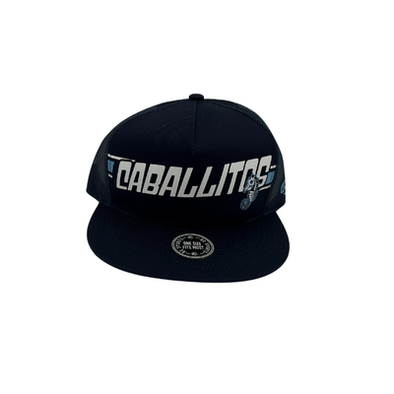 Norfolk Tides Caballitos Del Mar De Norfolk Navy Trucker Hat