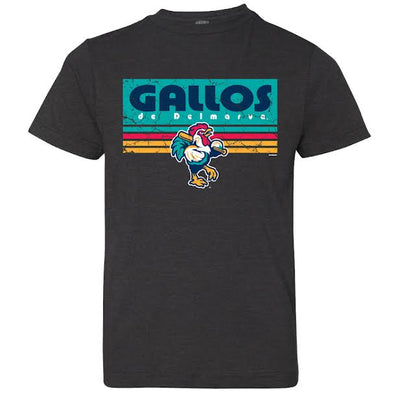 Delmarva Shorebirds Ultrawarm Gallos Tee