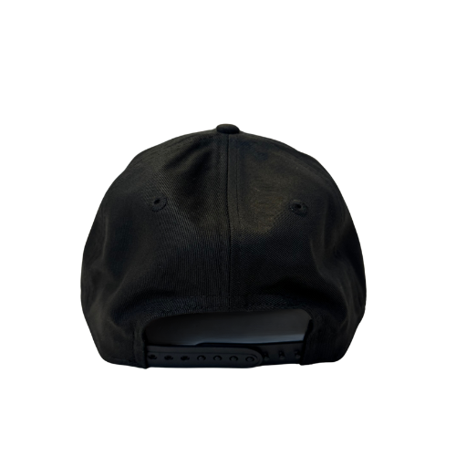 Everett AquaSox Pride 9FORTY Cap
