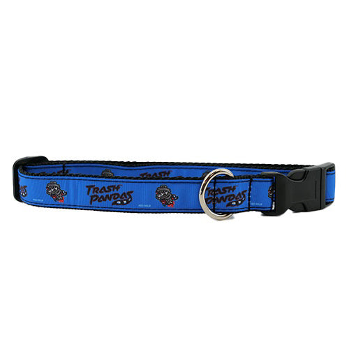Dog Collar Trash Pandas Royal Primary