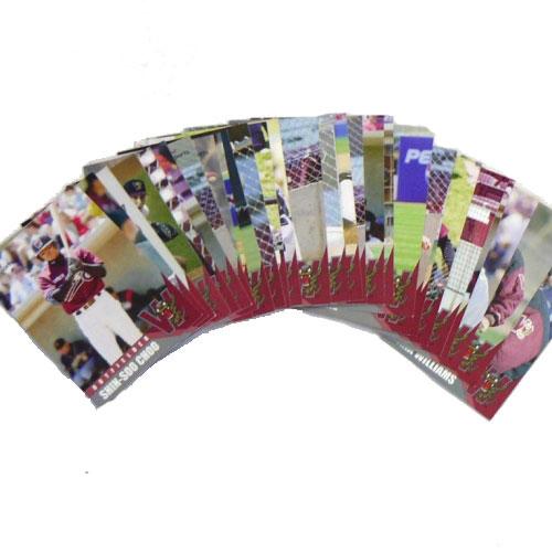 Wisconsin Timber Rattlers 2002 Team Set