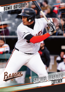 2024 Baysox Baseball Choice Sports Cards Trading Cards Full Team Set