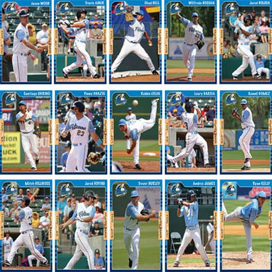 MYRTLE BEACH PELICANS 2011 TEAM SET