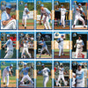 Myrtle Beach Pelicans 2011 Team Set