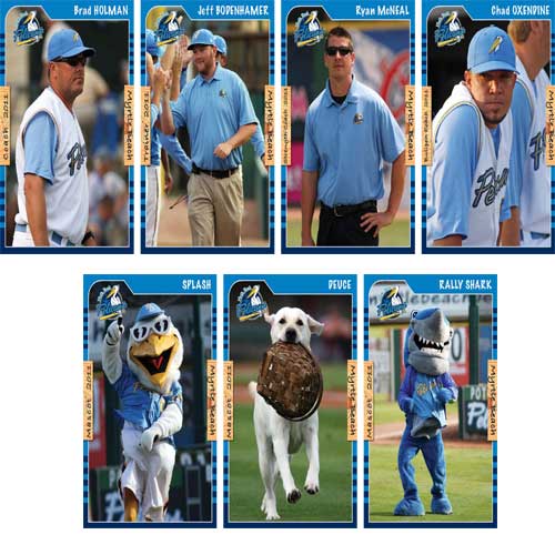 Myrtle Beach Pelicans 2011 Team Set