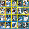 Myrtle Beach Pelicans Choice Sportscards 2013 Team Set