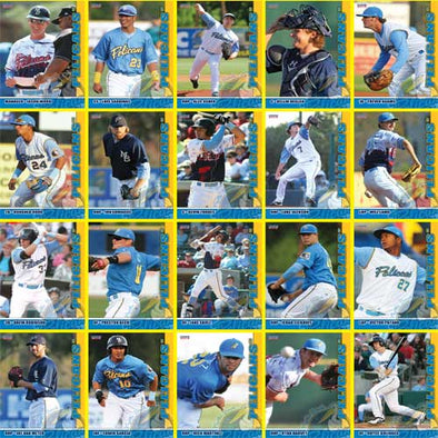 Myrtle Beach Pelicans Choice Sportscards 2013 Team Set