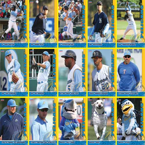 Myrtle Beach Pelicans 2013 Team Set