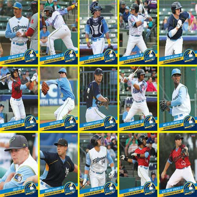 MYRTLE BEACH PELICANS 2014 TEAM SET