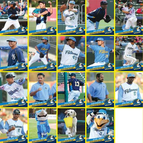 Myrtle Beach Pelicans Choice Sportscards 2014 Team Set