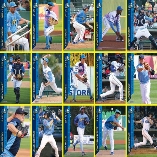Myrtle Beach Pelicans Choice Sportscards 2015 Team Set