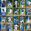 Myrtle Beach Pelicans Choice Sportscards 2015 Team Set