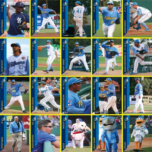 Myrtle Beach Pelicans Choice Sportscards 2015 Team Set