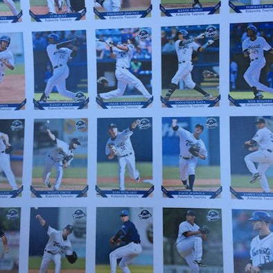 Asheville Tourists 2015 Asheville Tourists Team Set