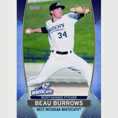 West Michigan Whitecaps 2016 Team Card Set