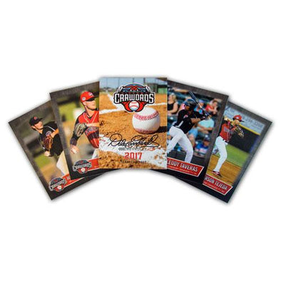 Hickory Crawdads 2017 Team Set #2