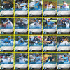 Myrtle Beach Pelicans Choice Sportscards 2017 Team Set