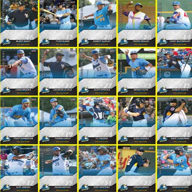Myrtle Beach Pelicans Choice Sportscards 2017 Team Set