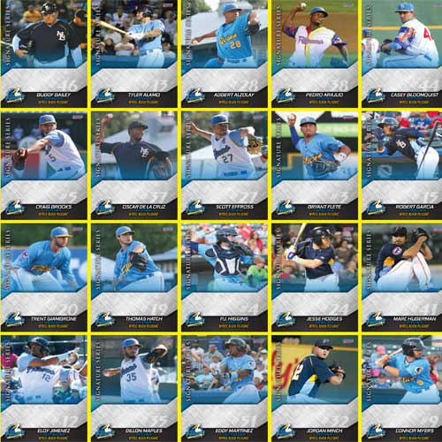 Myrtle Beach Pelicans Choice Sportscards 2017 Team Set