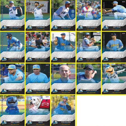 Myrtle Beach Pelicans Choice Sportscards 2017 Team Set