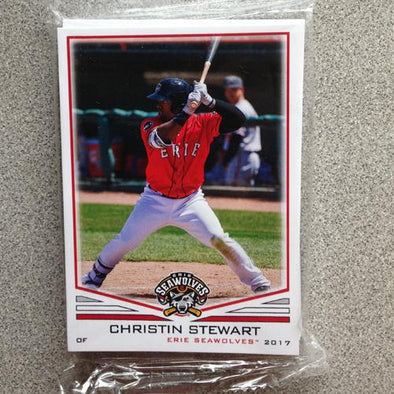 2017 Erie SeaWolves Team Set